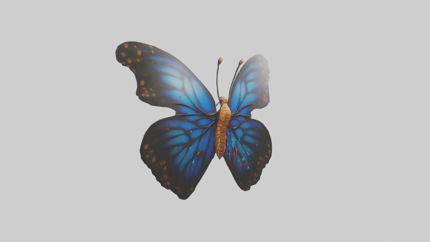 3D model Butterfly Wings Model VR / AR / low-poly