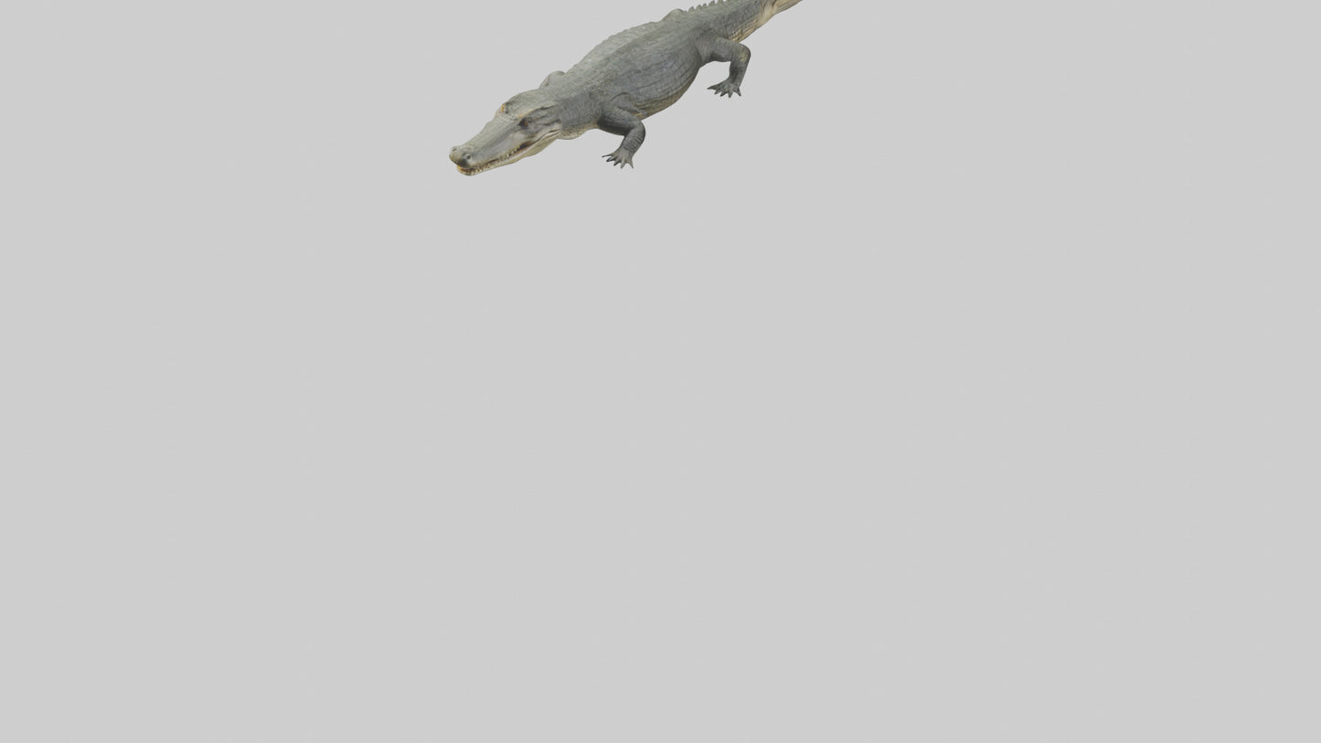 3D model Caiman Crocodile lurking model VR / AR / low-poly