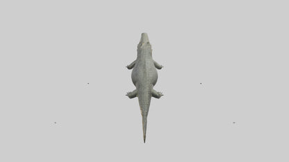 3D model Caiman Crocodile lurking model VR / AR / low-poly