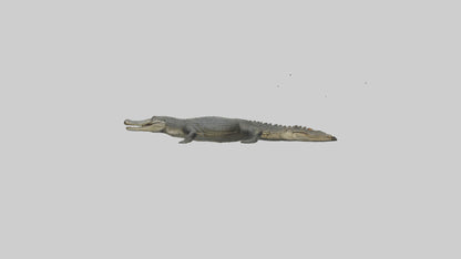 3D model Caiman Crocodile lurking model VR / AR / low-poly