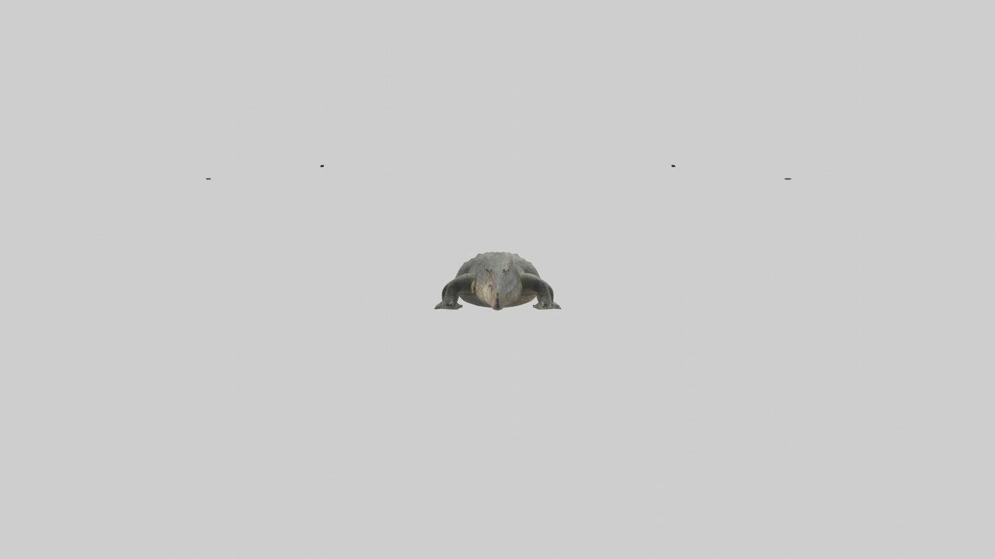 3D model Caiman Crocodile lurking model VR / AR / low-poly