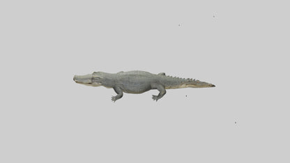 3D model Caiman Crocodile lurking model VR / AR / low-poly