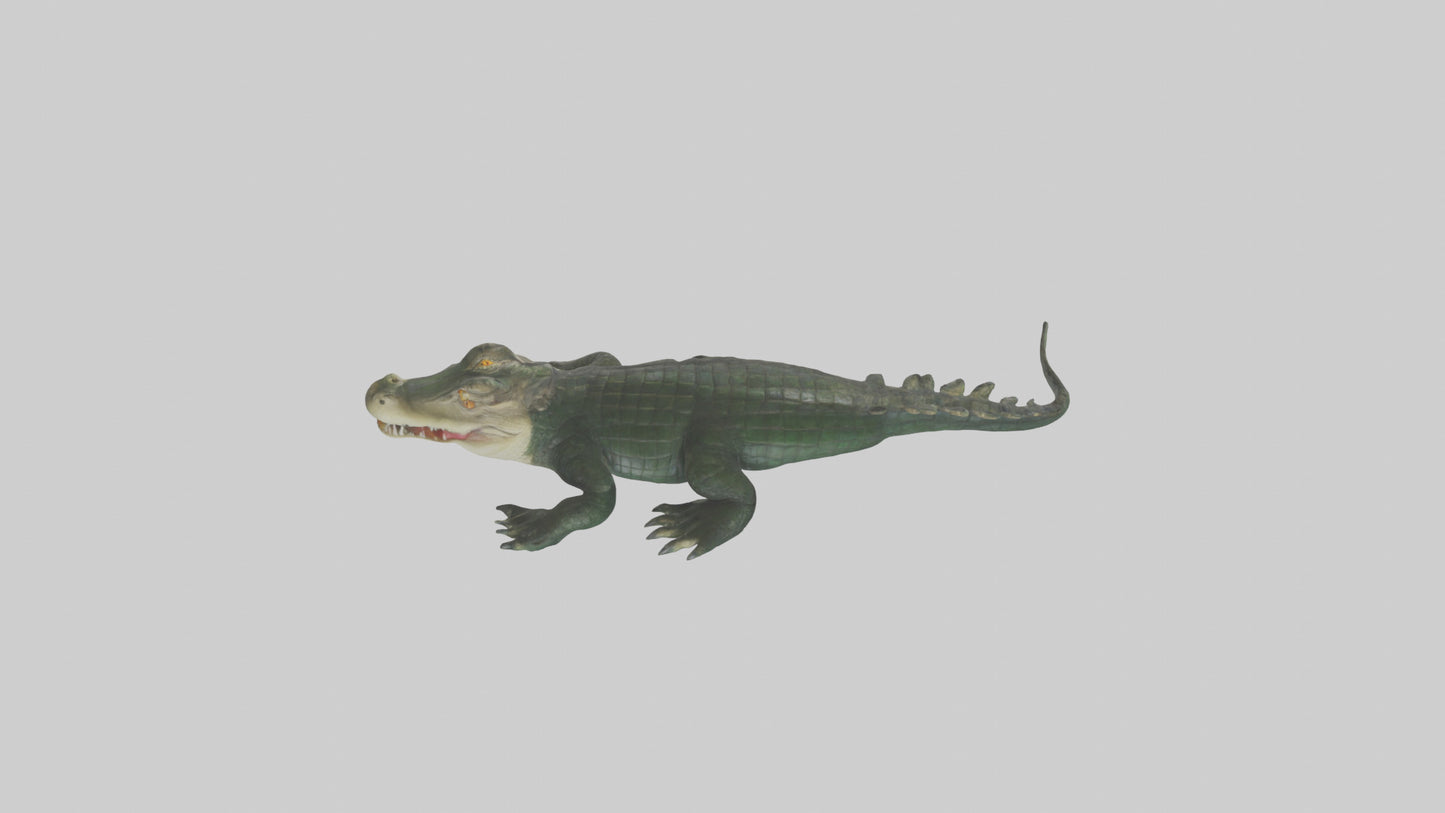 3D model Caiman lurking in water model VR / AR / low-poly