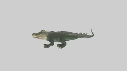 3D model Caiman lurking in water model VR / AR / low-poly