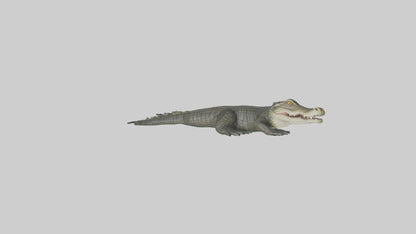 3D model Caiman lurking in water model VR / AR / low-poly