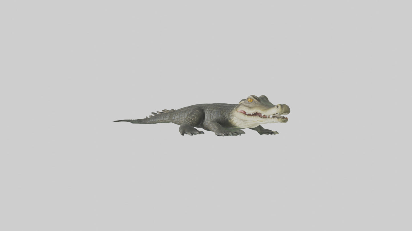 3D model Caiman lurking in water model VR / AR / low-poly
