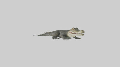 3D model Caiman lurking in water model VR / AR / low-poly