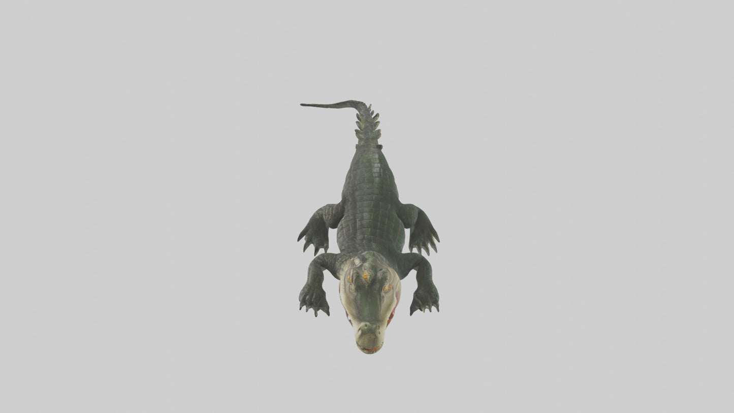 3D model Caiman lurking in water model VR / AR / low-poly