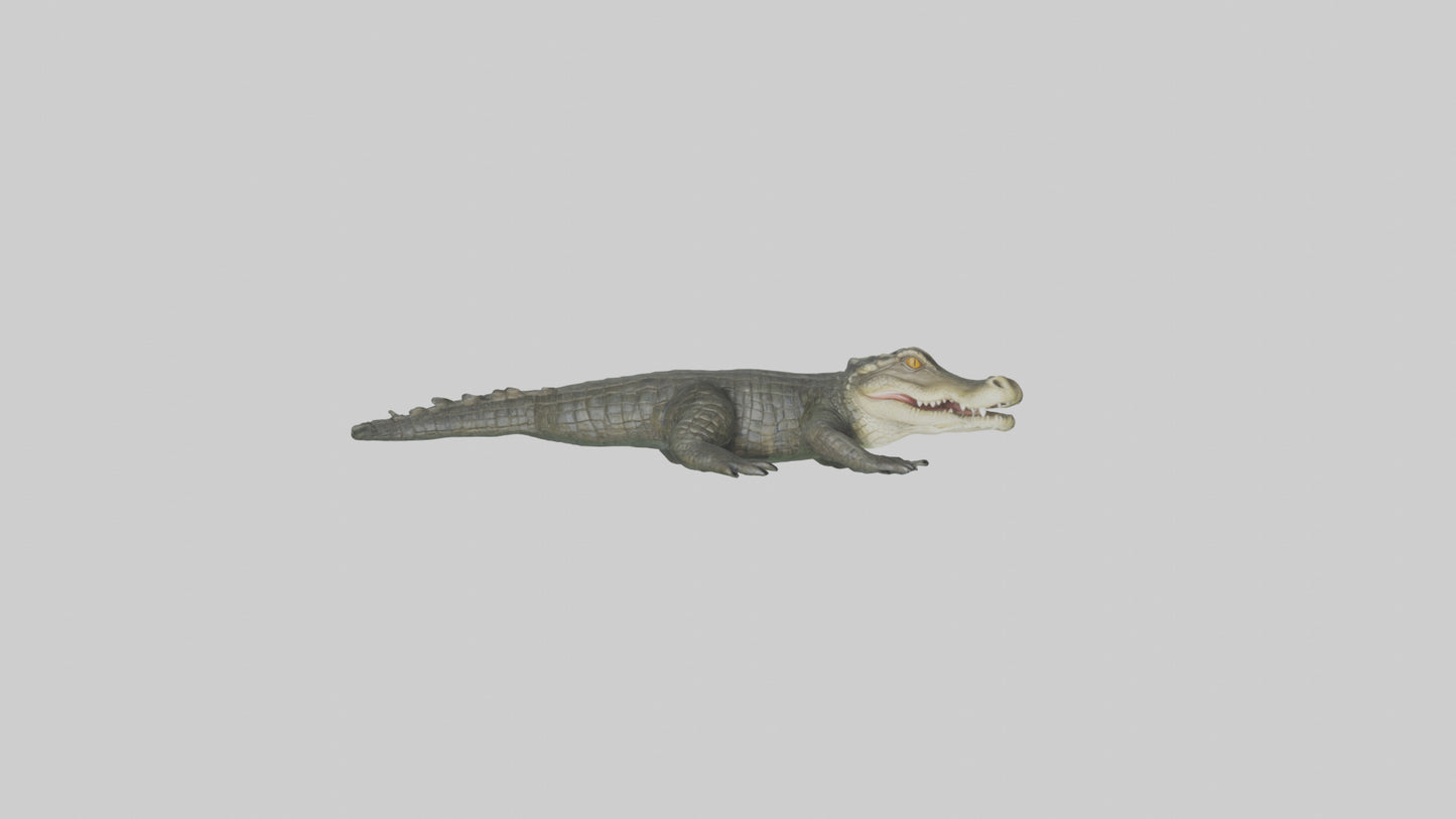3D model Caiman lurking in water model VR / AR / low-poly