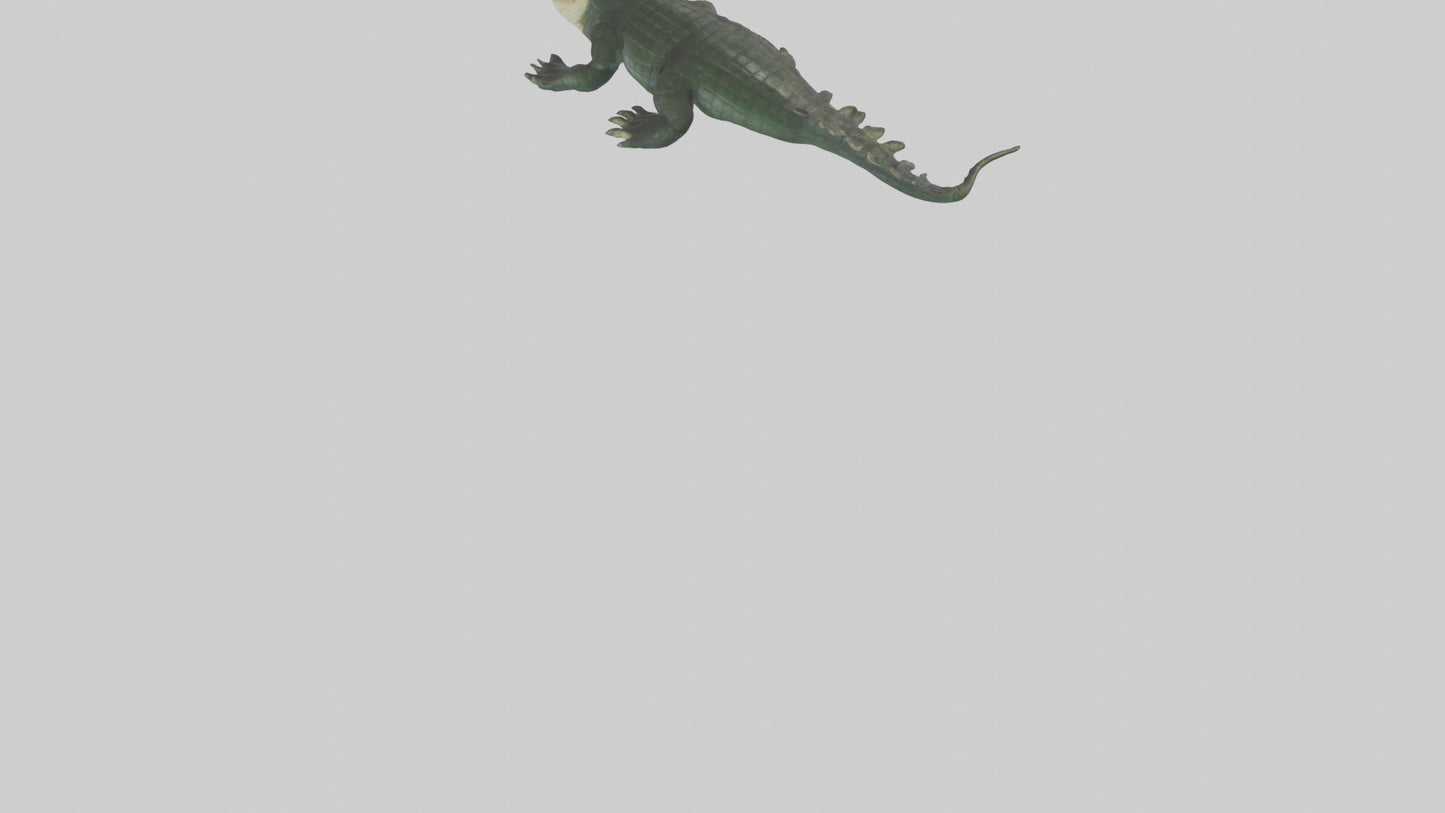 3D model Caiman lurking in water model VR / AR / low-poly