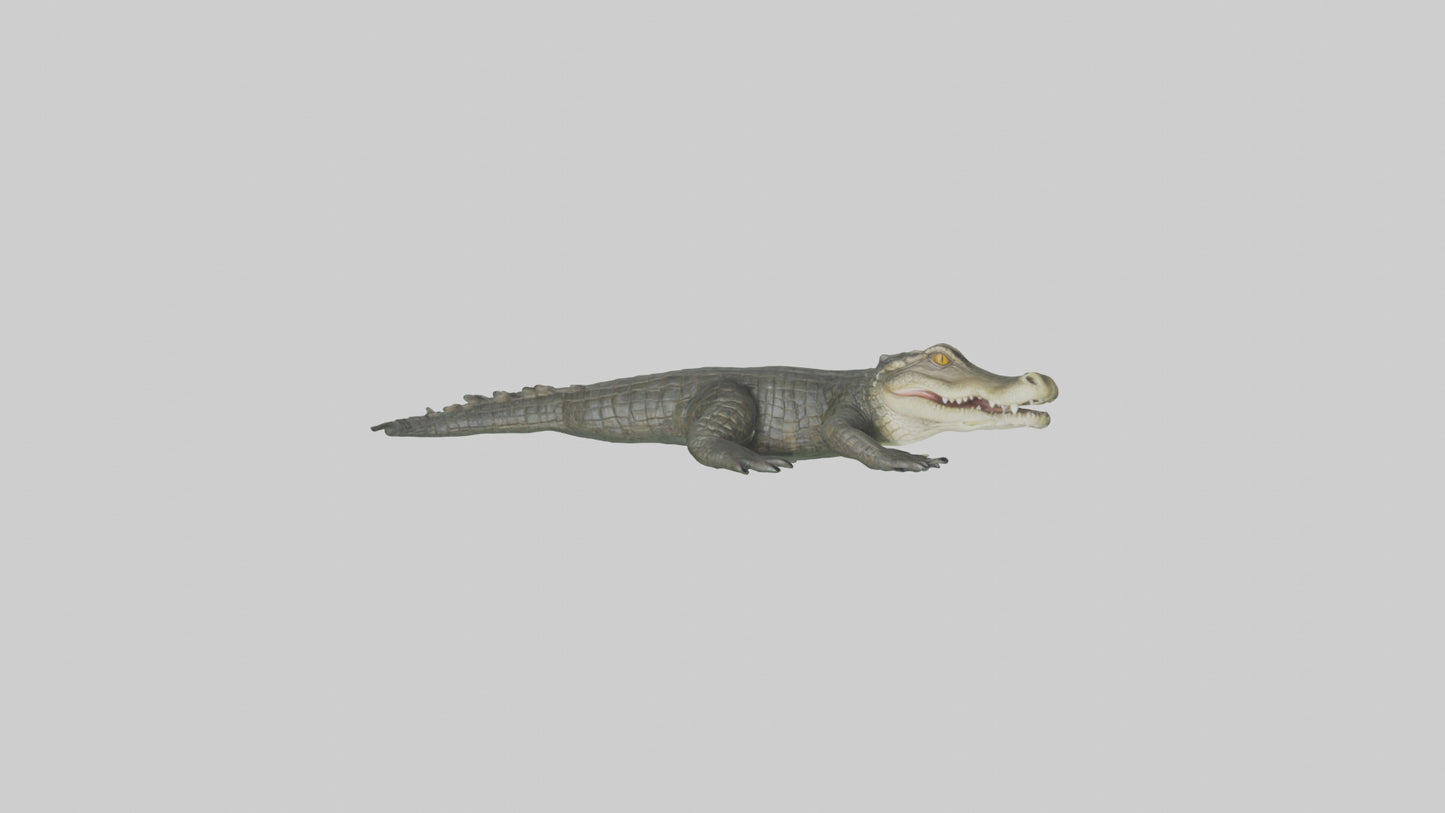 3D model Caiman lurking in water model VR / AR / low-poly