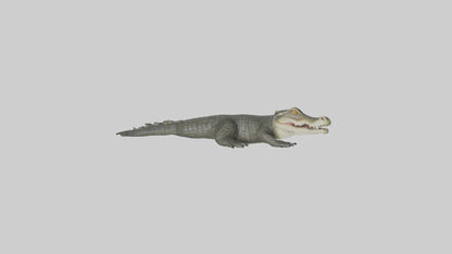 3D model Caiman lurking in water model VR / AR / low-poly