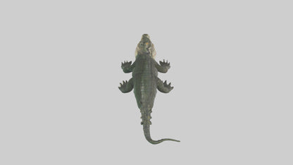 3D model Caiman lurking in water model VR / AR / low-poly