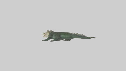 3D model Caiman lurking in water model VR / AR / low-poly