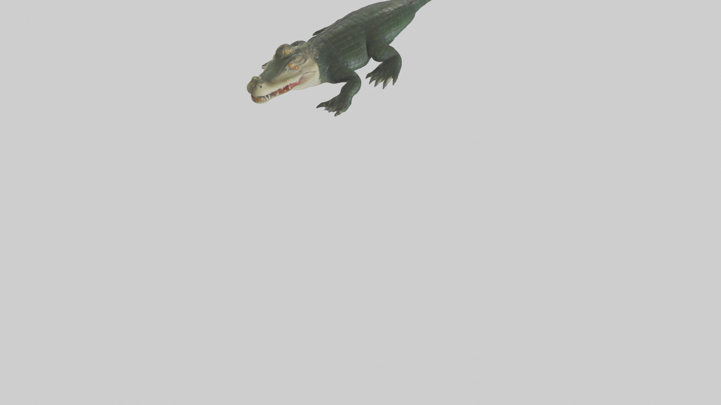 3D model Caiman lurking in water model VR / AR / low-poly