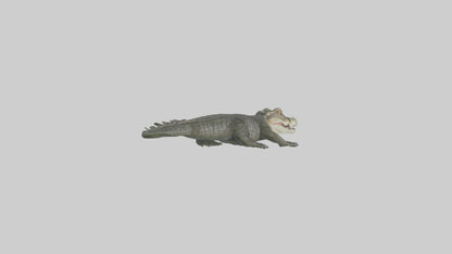 3D model Caiman lurking in water model VR / AR / low-poly