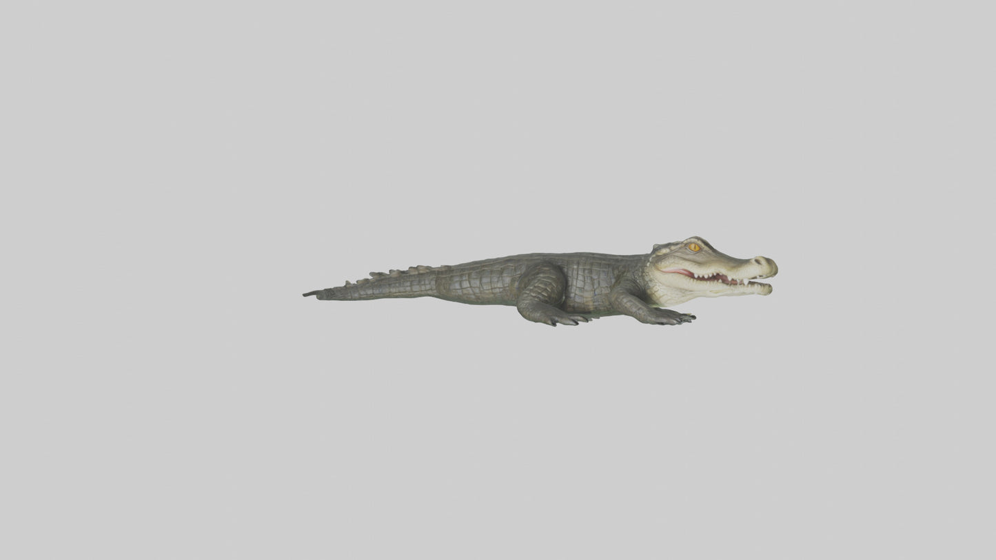 3D model Caiman lurking in water model VR / AR / low-poly