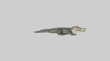 3D model Caiman lurking in water model VR / AR / low-poly