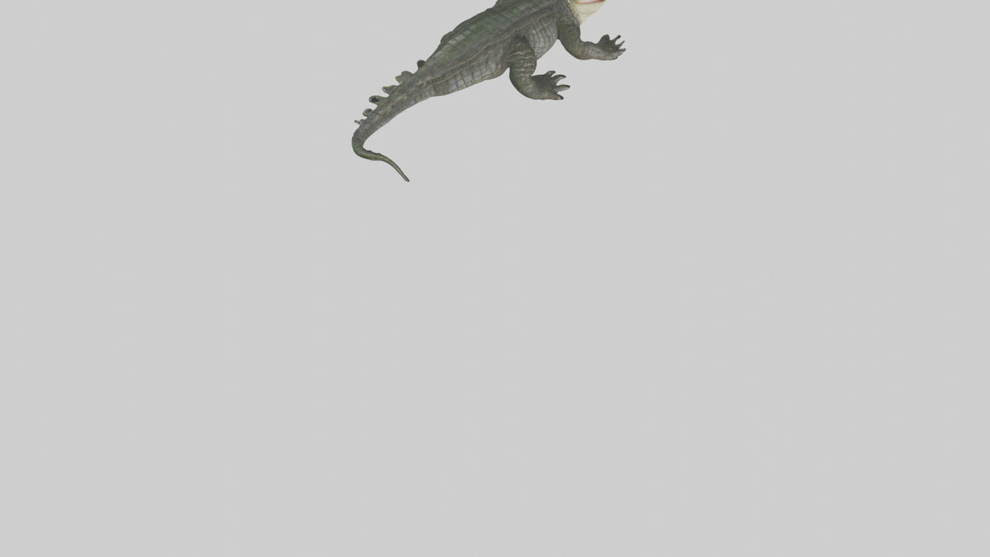 3D model Caiman lurking in water model VR / AR / low-poly