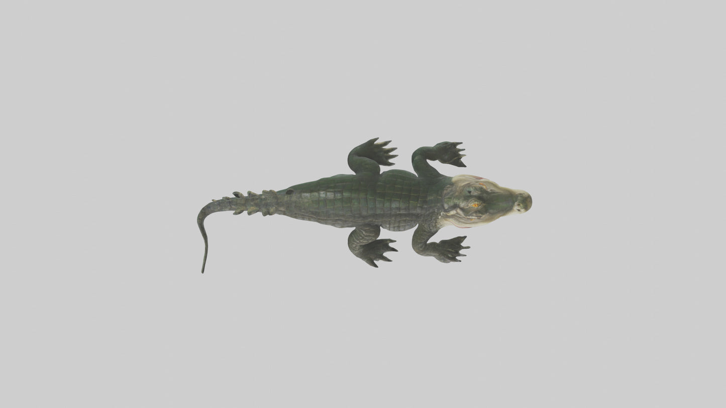3D model Caiman lurking in water model VR / AR / low-poly