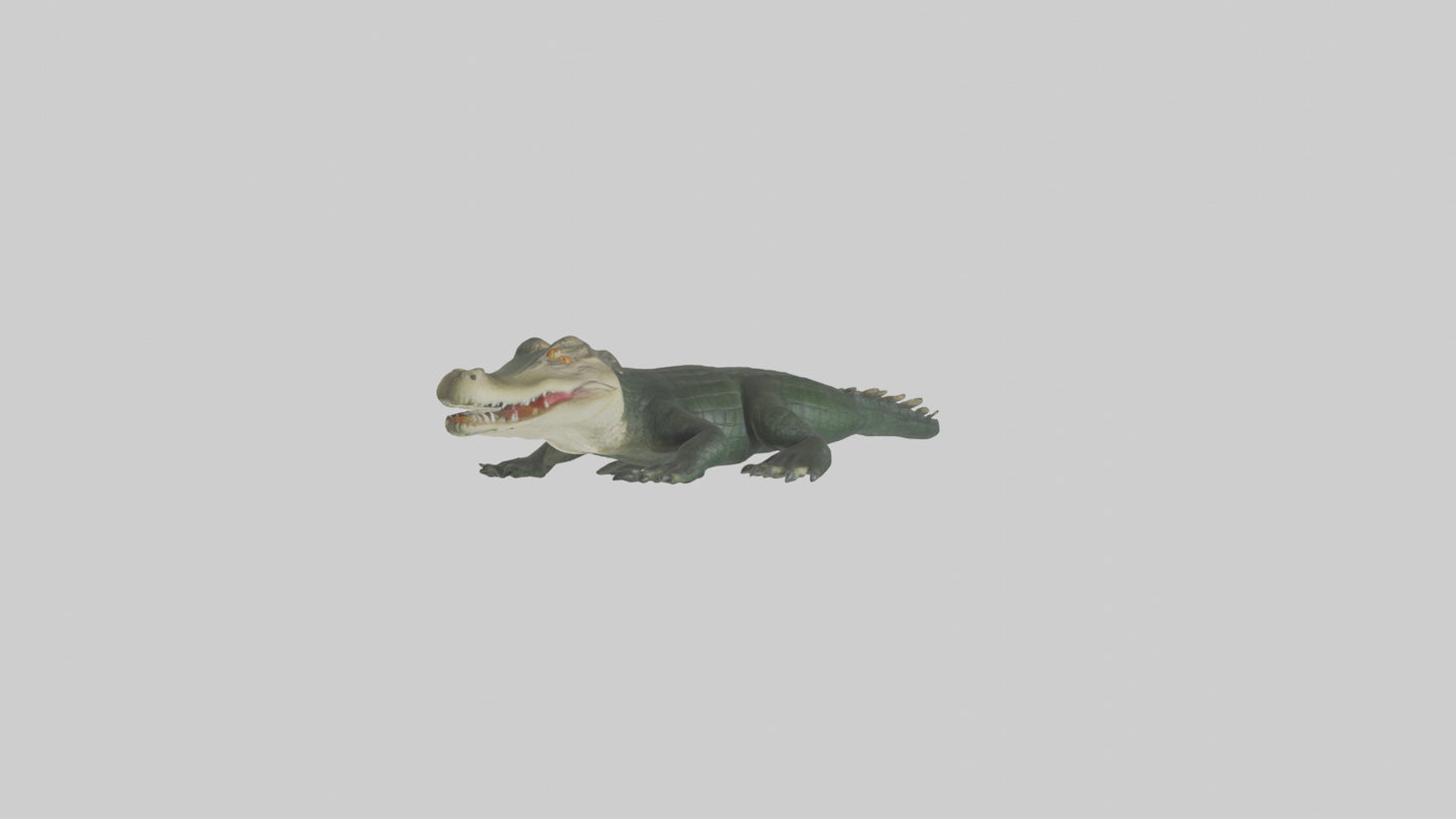 3D model Caiman lurking in water model VR / AR / low-poly