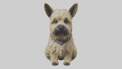 3D model Cairn Terrier sitting model VR / AR / low-poly