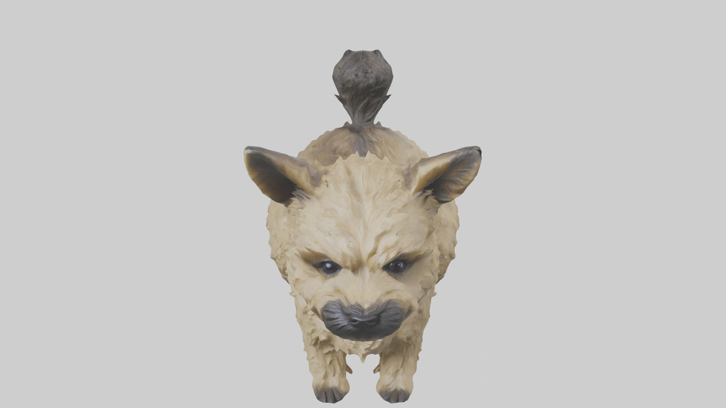 3D model Cairn Terrier sitting model VR / AR / low-poly