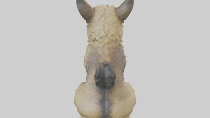 3D model Cairn Terrier sitting model VR / AR / low-poly