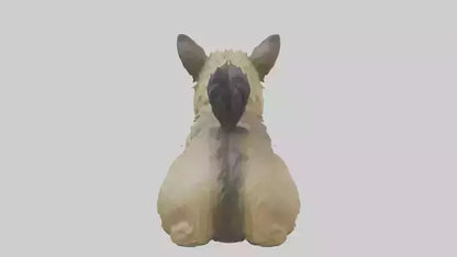 3D model Cairn Terrier sitting model VR / AR / low-poly