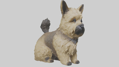 3D model Cairn Terrier sitting model VR / AR / low-poly