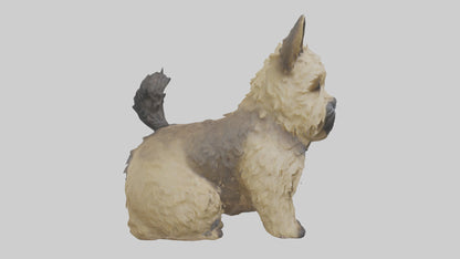 3D model Cairn Terrier sitting model VR / AR / low-poly