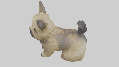 3D model Cairn Terrier sitting model VR / AR / low-poly