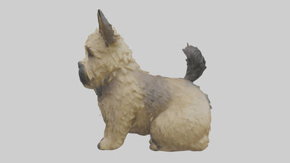 3D model Cairn Terrier sitting model VR / AR / low-poly