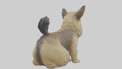 3D model Cairn Terrier sitting model VR / AR / low-poly