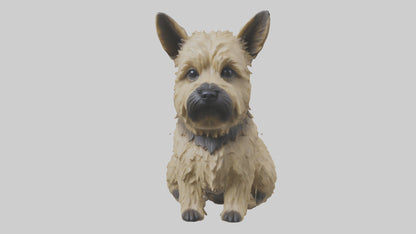 3D model Cairn Terrier sitting model VR / AR / low-poly