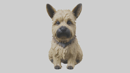 3D model Cairn Terrier sitting model VR / AR / low-poly