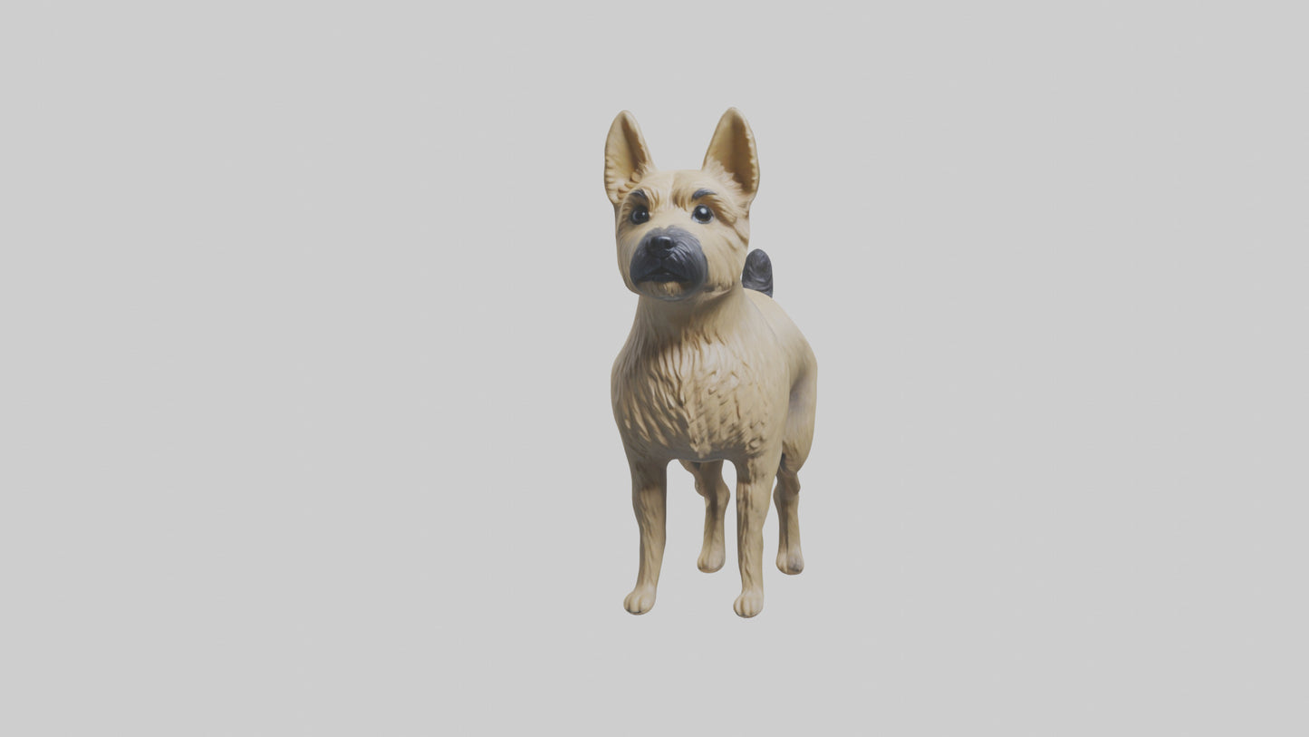3D model Cairn Terrier standing model VR / AR / low-poly