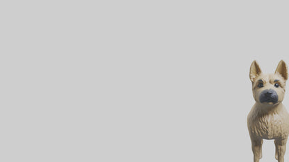 3D model Cairn Terrier standing model VR / AR / low-poly