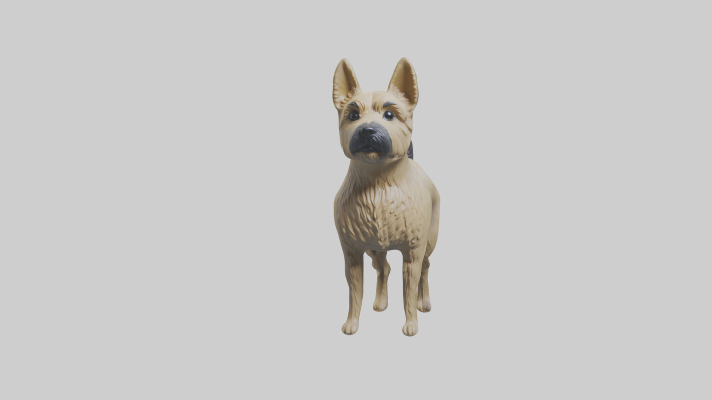 3D model Cairn Terrier standing model VR / AR / low-poly