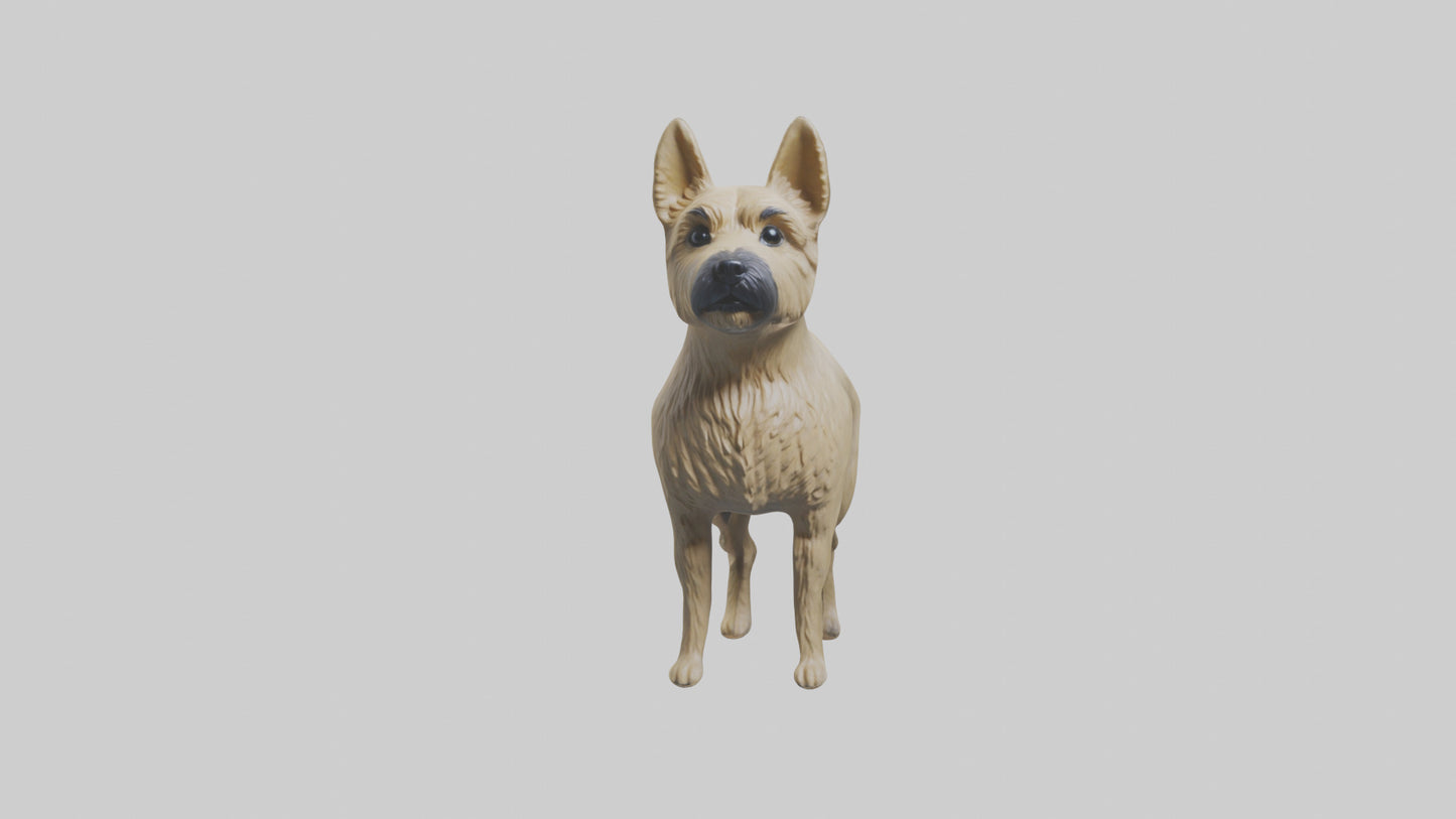 3D model Cairn Terrier standing model VR / AR / low-poly