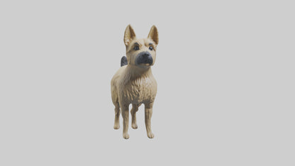 3D model Cairn Terrier standing model VR / AR / low-poly