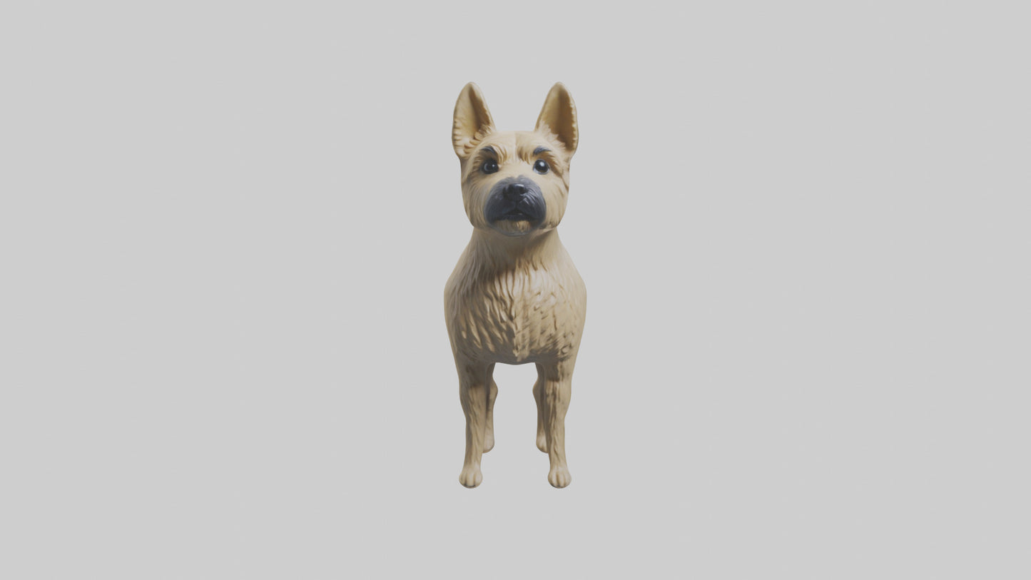3D model Cairn Terrier standing model VR / AR / low-poly