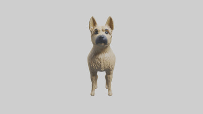 3D model Cairn Terrier standing model VR / AR / low-poly