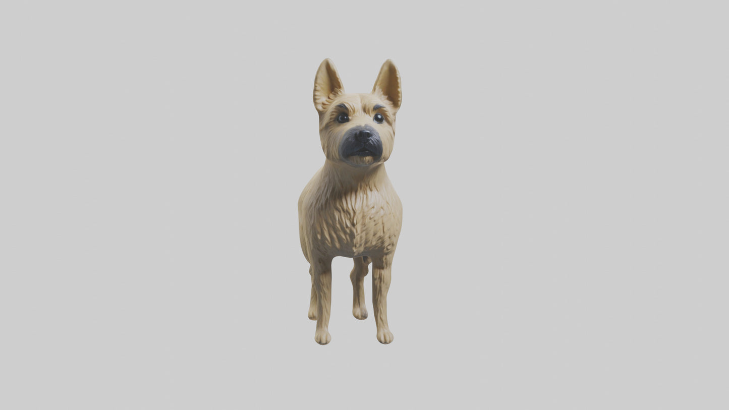 3D model Cairn Terrier standing model VR / AR / low-poly