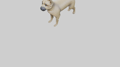 3D model Cairn Terrier standing model VR / AR / low-poly