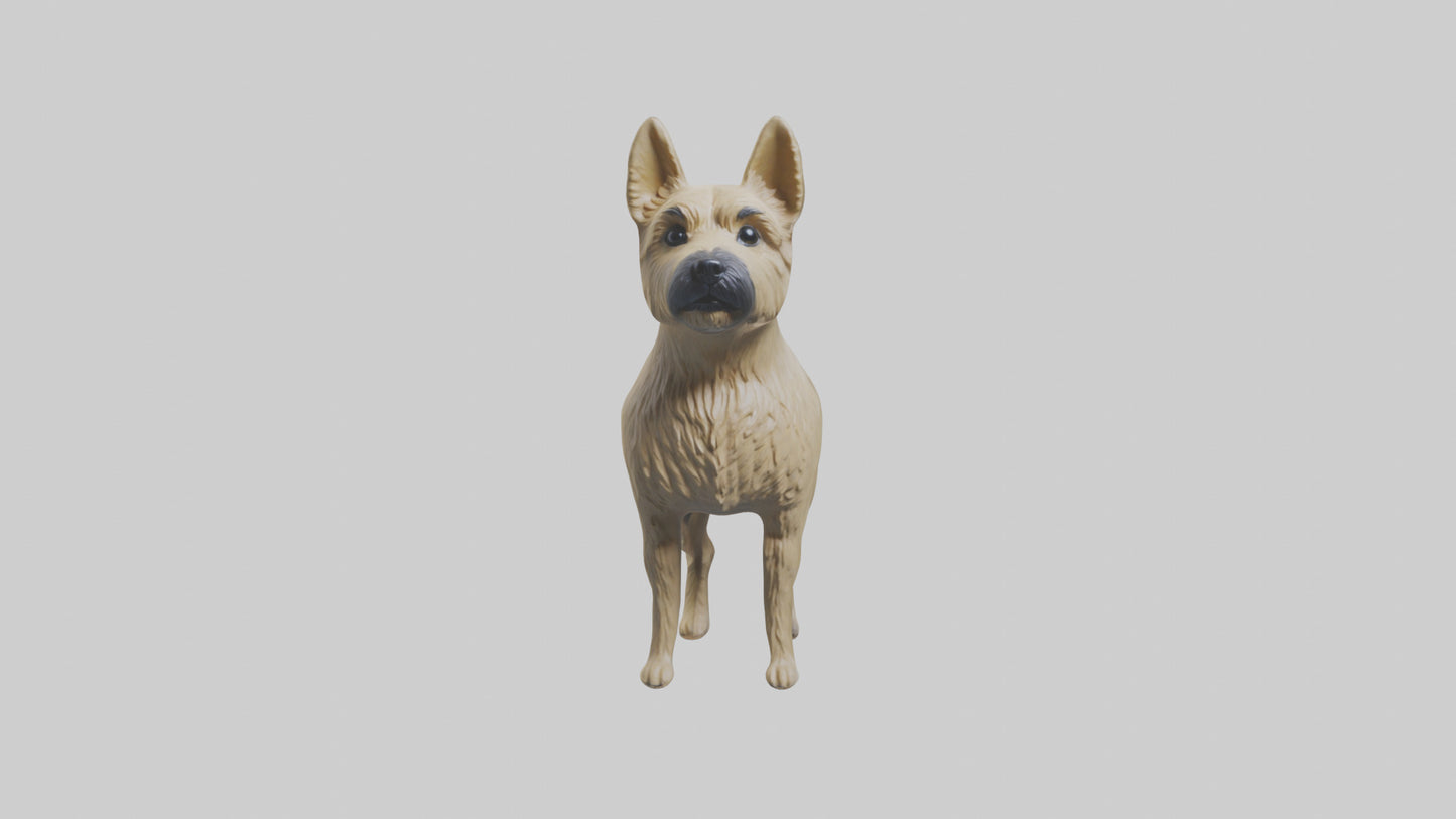 3D model Cairn Terrier standing model VR / AR / low-poly