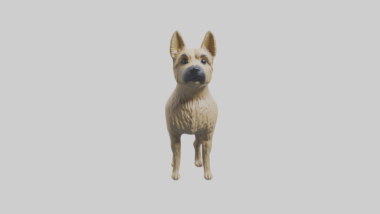 3D model Cairn Terrier standing model VR / AR / low-poly
