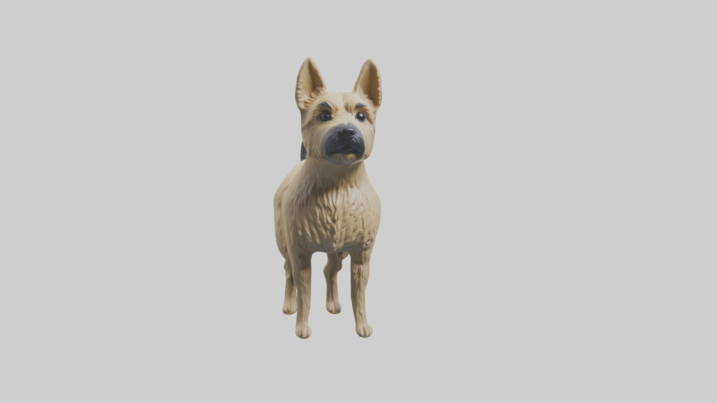 3D model Cairn Terrier standing model VR / AR / low-poly
