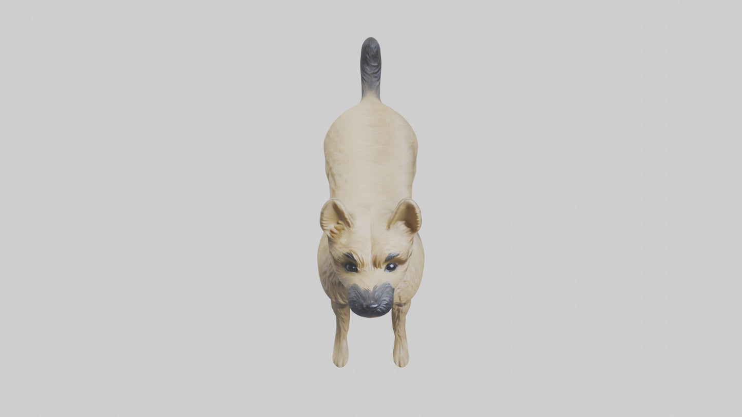 3D model Cairn Terrier standing model VR / AR / low-poly