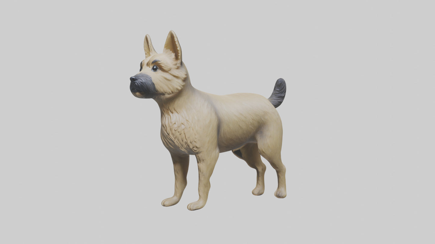 3D model Cairn Terrier standing model VR / AR / low-poly